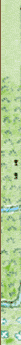 McElfresh Map Company map