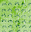 McElfresh Map Company map